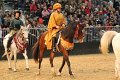 Pferd_Jagd   090